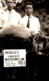 HOPE'S GIANT WATERMELON HERITAGE