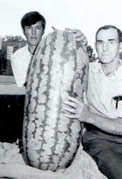 HOPE'S GIANT WATERMELON HERITAGE